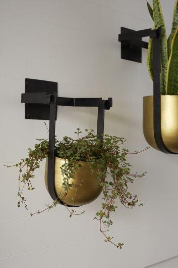 indoor wall plant holder Benton Hanging Pot Large