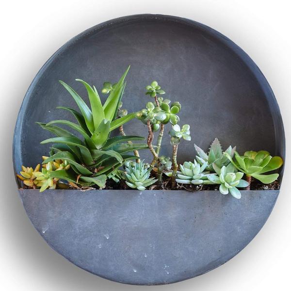 zinc hanging planter Wall Planters- Circle & Semi Circle Zinc Planters