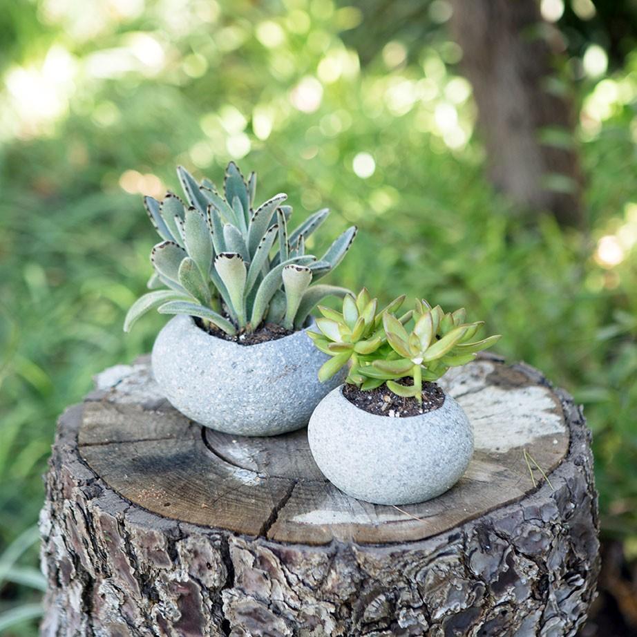 succulent pots outdoor Garden Age Supply Stone Succulents Pot