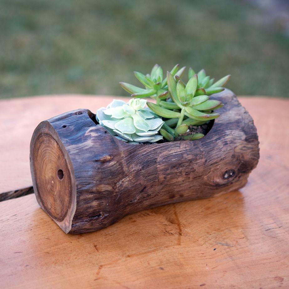 succulent wood pot Natural Teak Planter