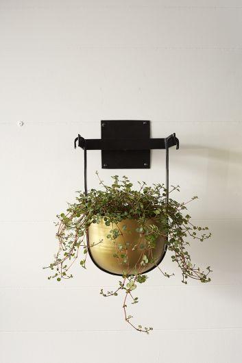 4 in hanging planter Benton Hanging Pot Large