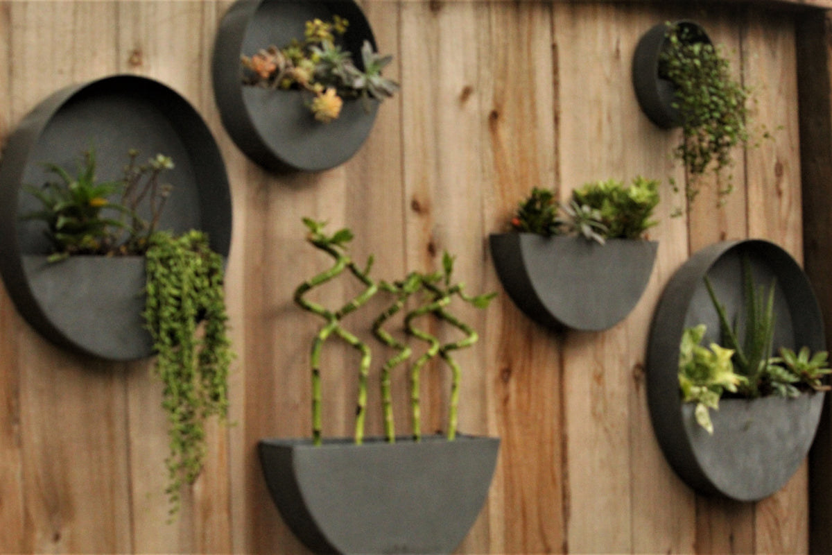 outdoor hanging wall planter Wall Planters- Circle & Semi Circle Zinc Planters