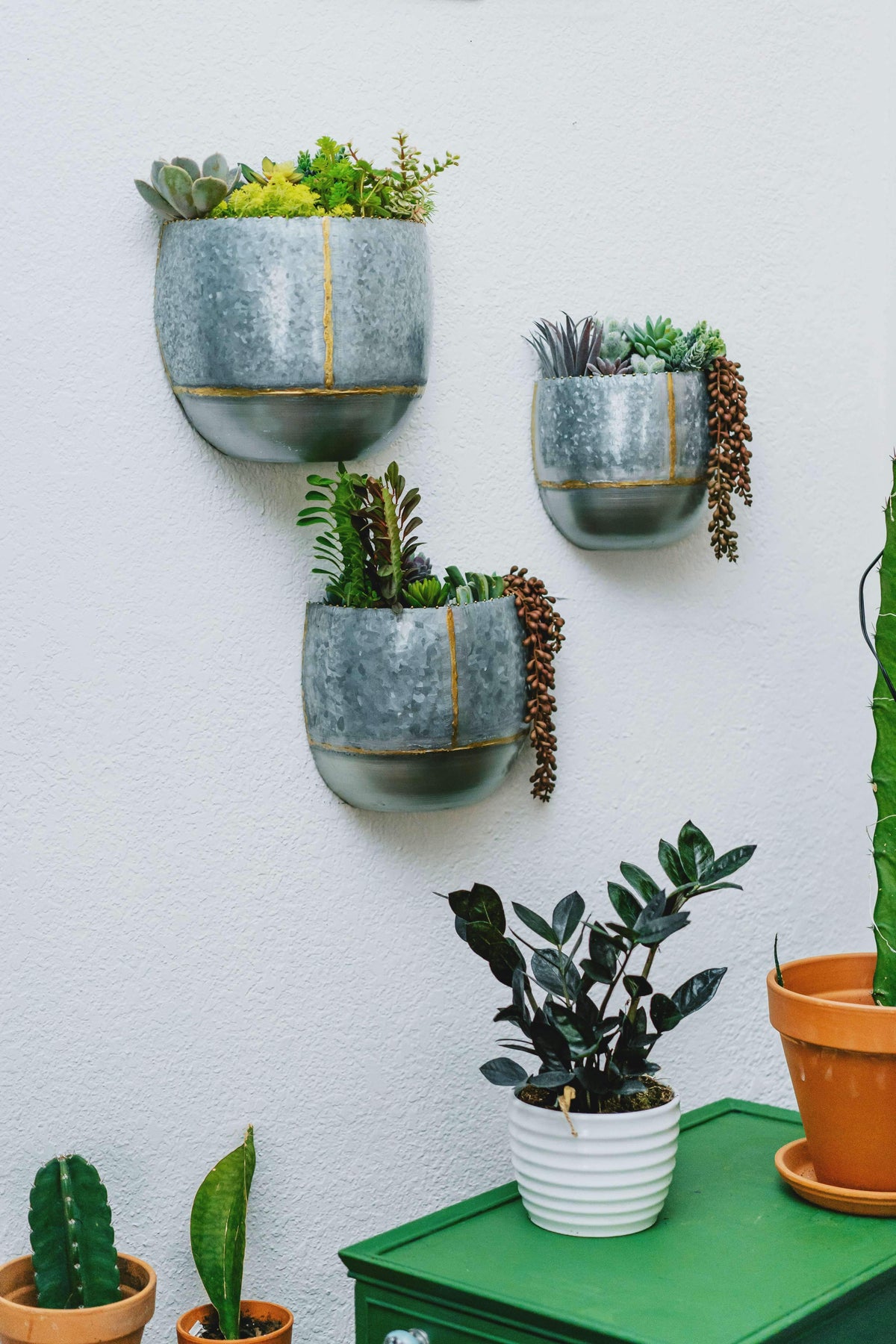 hanging pot for plant The Sill Golden Pothos Hanging Basket Houseplants, Medium in Grow Pot main image 0