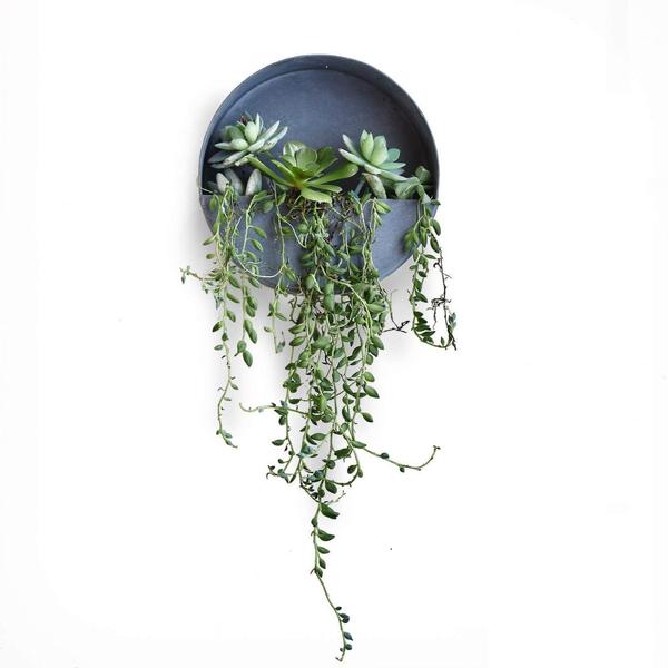 half circle planter indoor Wall Planters- Circle & Semi Circle Zinc Planters